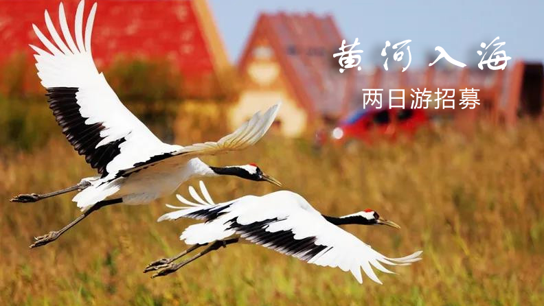 黃河入海2日游招募