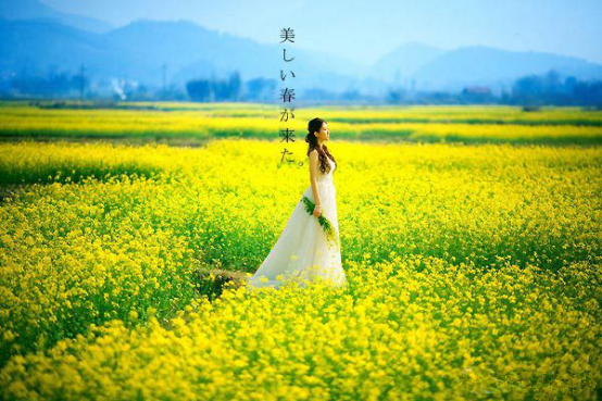 “春色江南 醉美婺源”| 潤華汽車俱樂部—5日自駕游招募中！