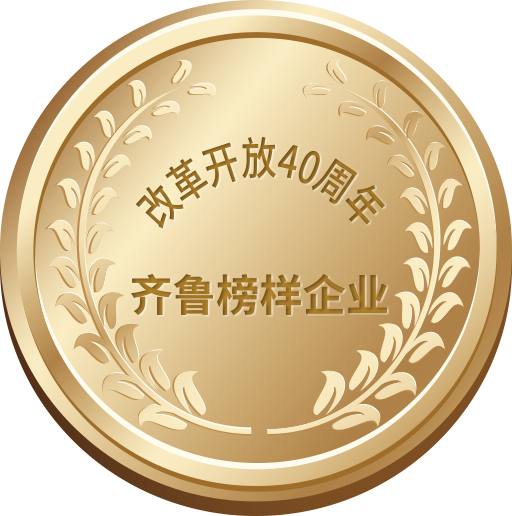 改革開(kāi)放40周年齊魯榜樣企業(yè)